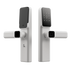 P30 IVIS